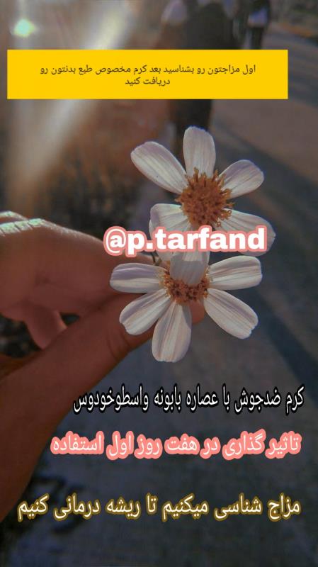 کرم ضد جوش گیاهی بابونه