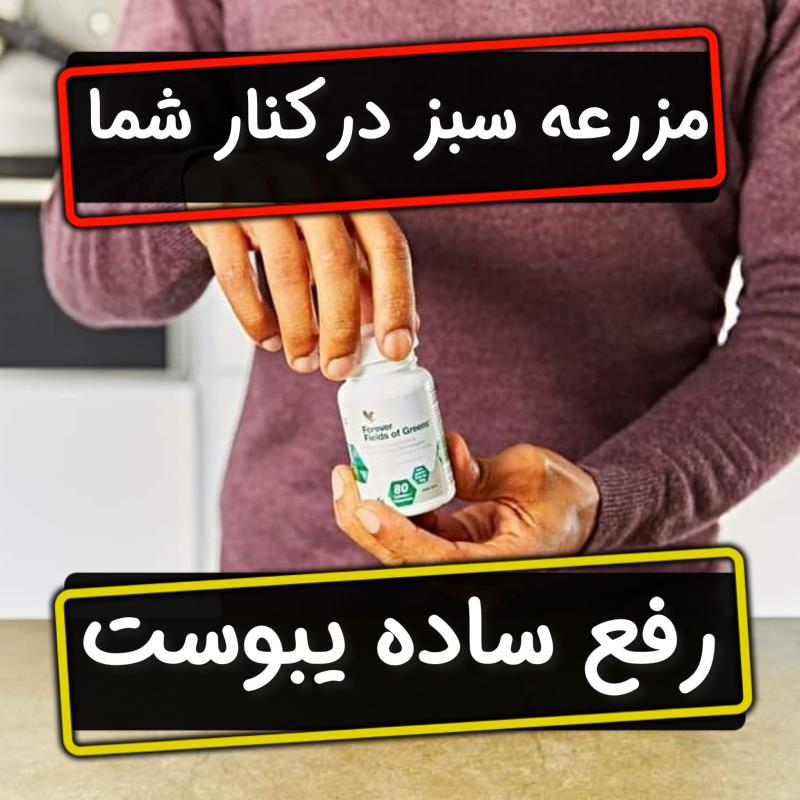 فیلدزآف گرینز